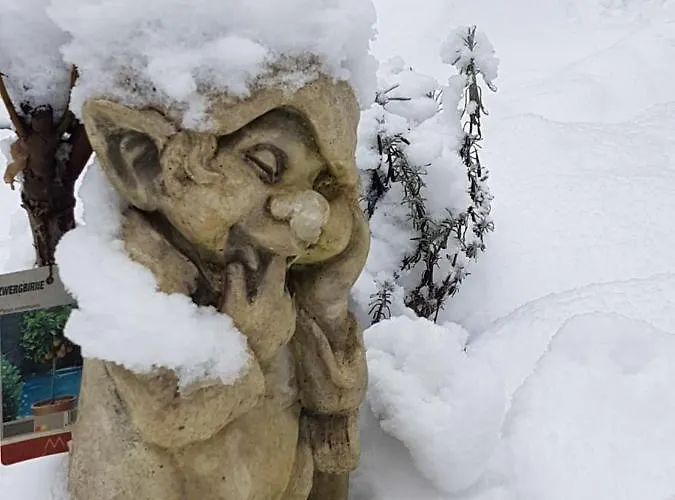 Apartment Mittelmühle